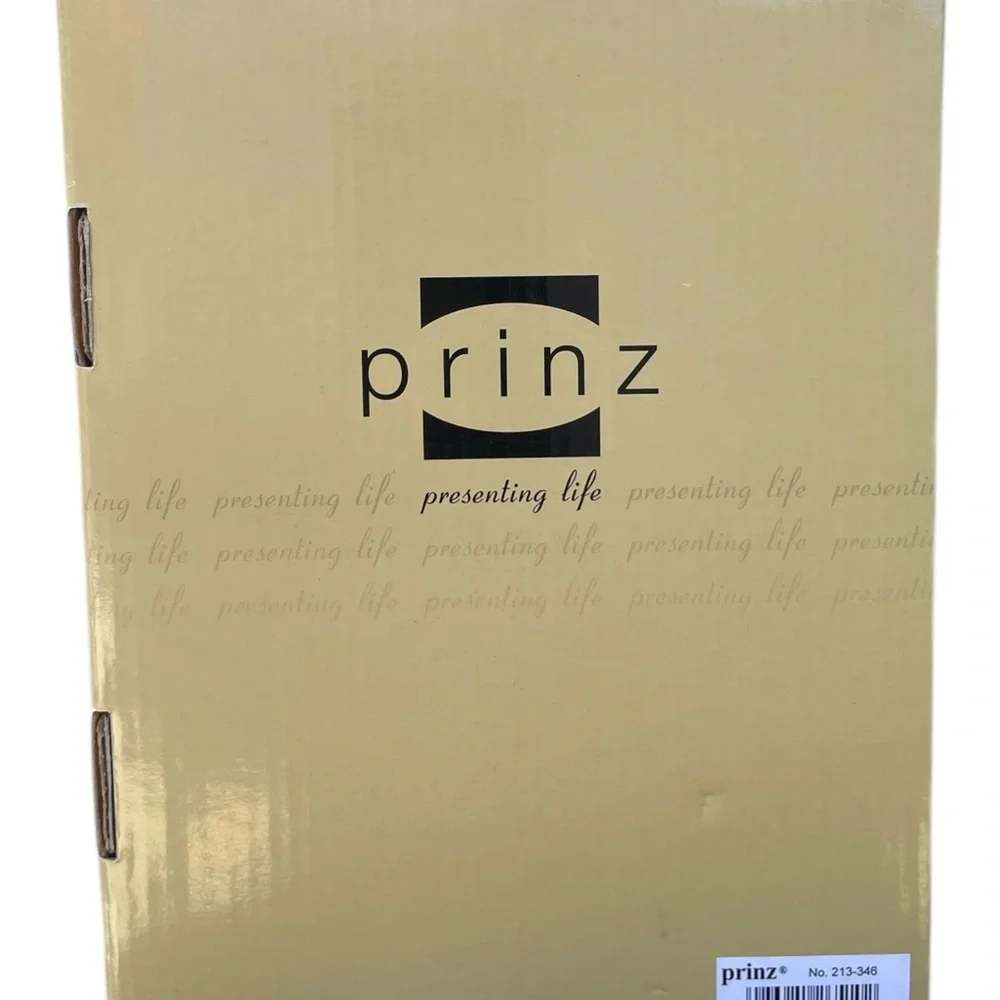 Prinz Dark Green Picture Frames Dakota Collection 4x6 New